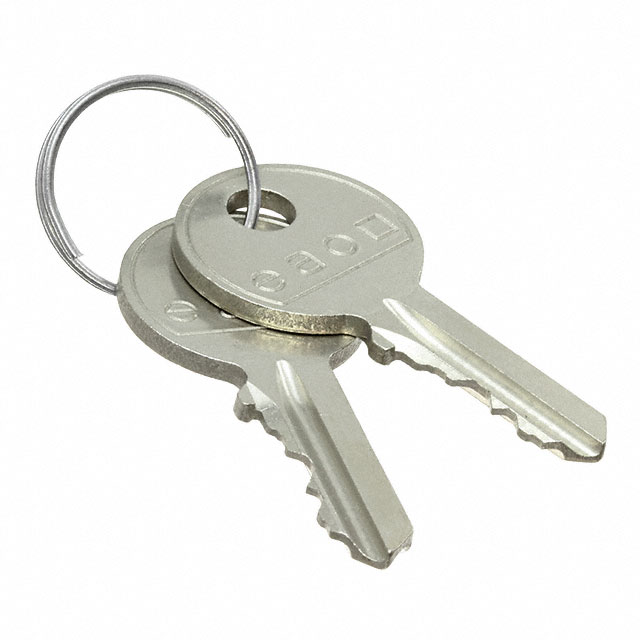 45-522.0900 SPARE KEY (2X) RONIS T254