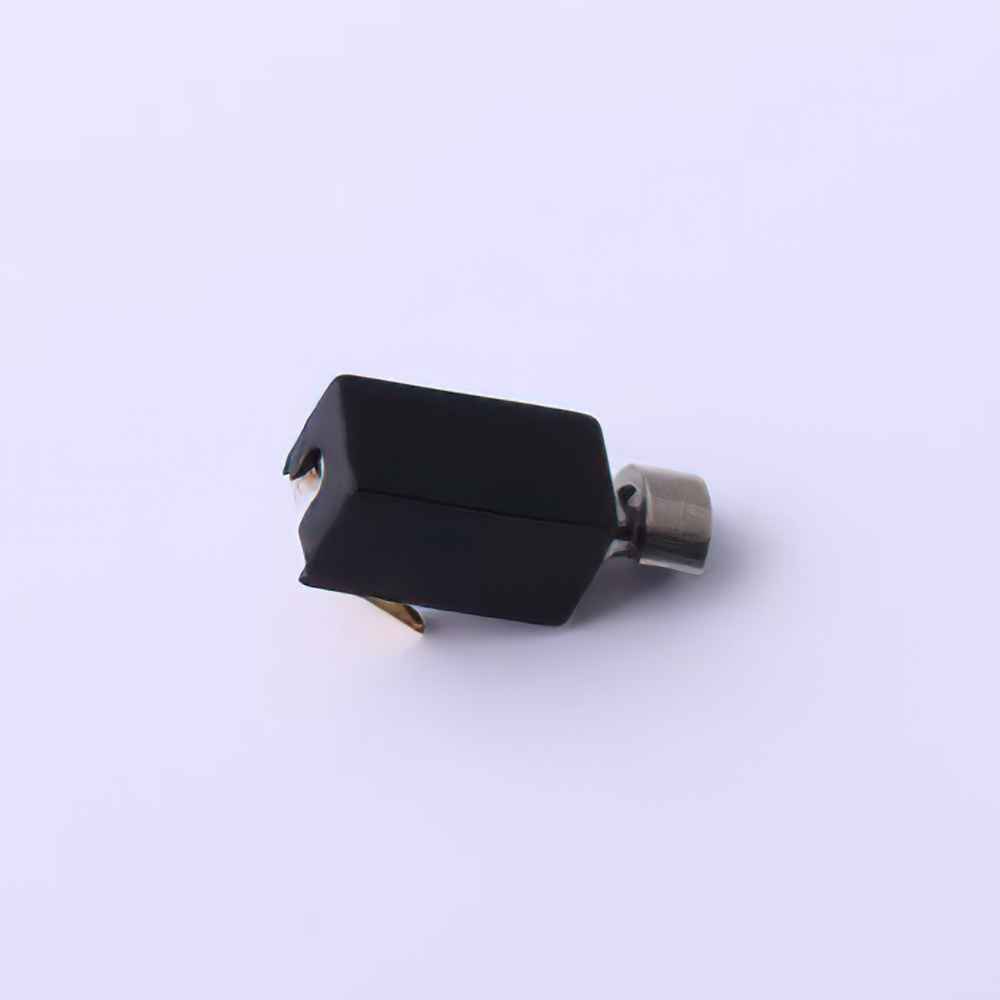 LCM04084521-B10408 cylindrical motor